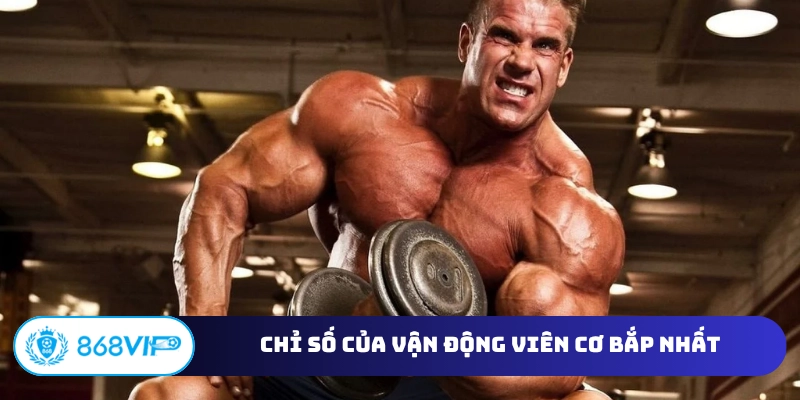 Chỉ số của vận động viên cơ bắp nhất