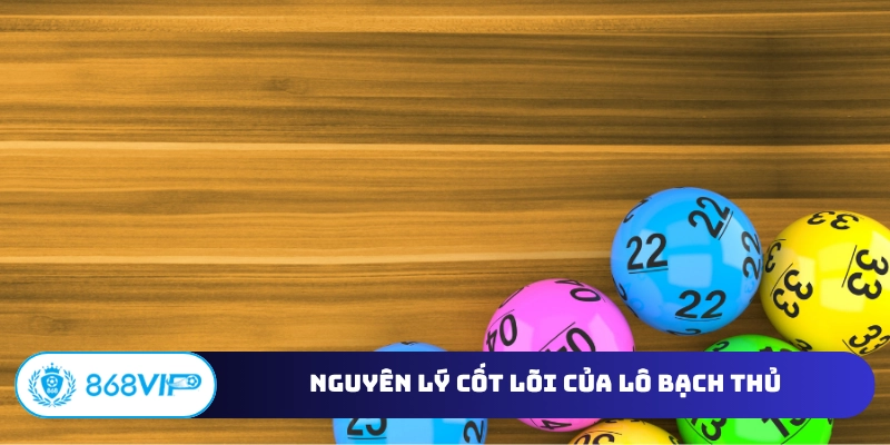 Nguyên lý cốt lõi của lô bạch thủ