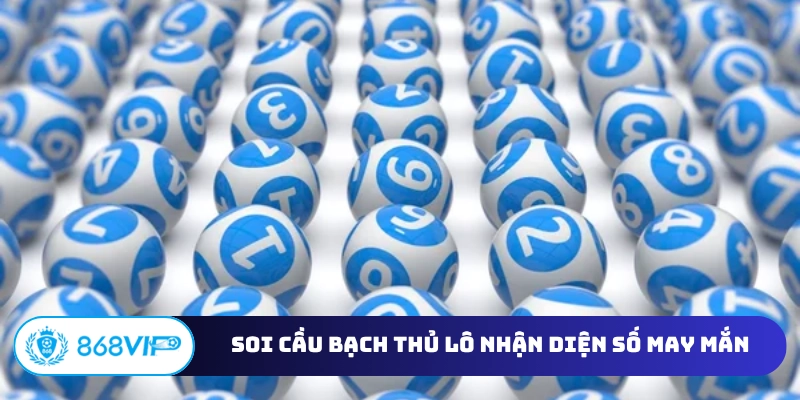 Soi cầu bạch thủ lô miền Nam nhận diện số may mắn