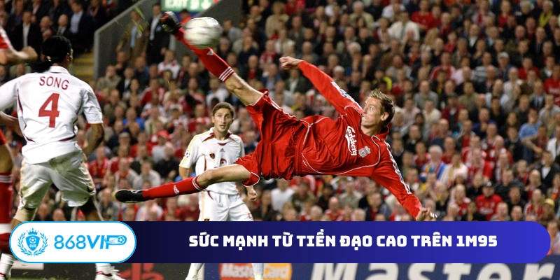 Sức mạnh từ tiền đạo cao trên 1m95